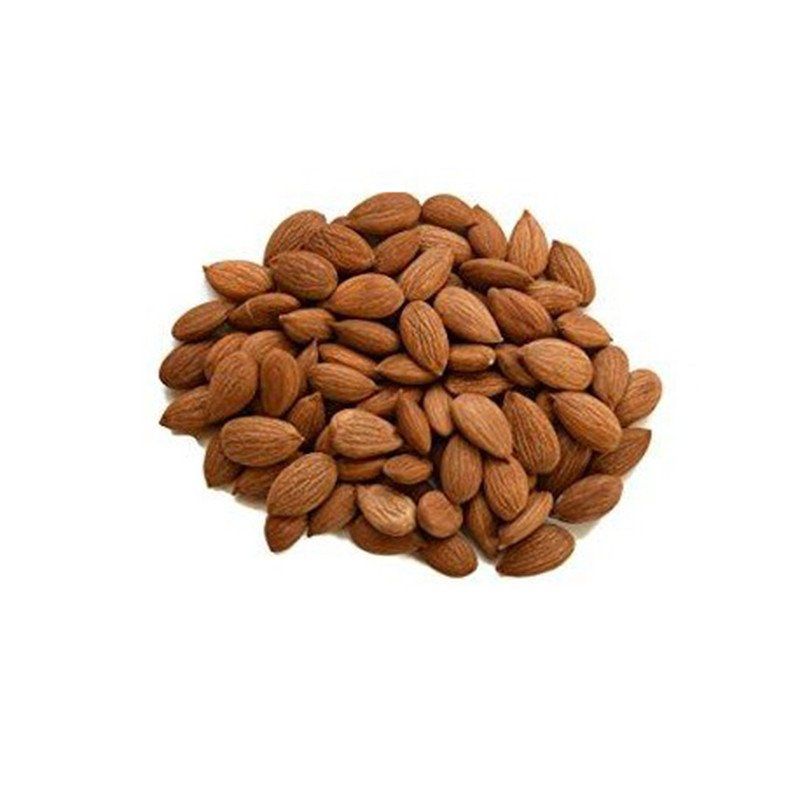 Apricot Seeds 100g Catchme.lk