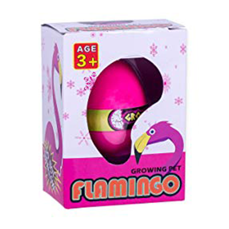 Growing Pet Flamingo Egg Catchme.lk