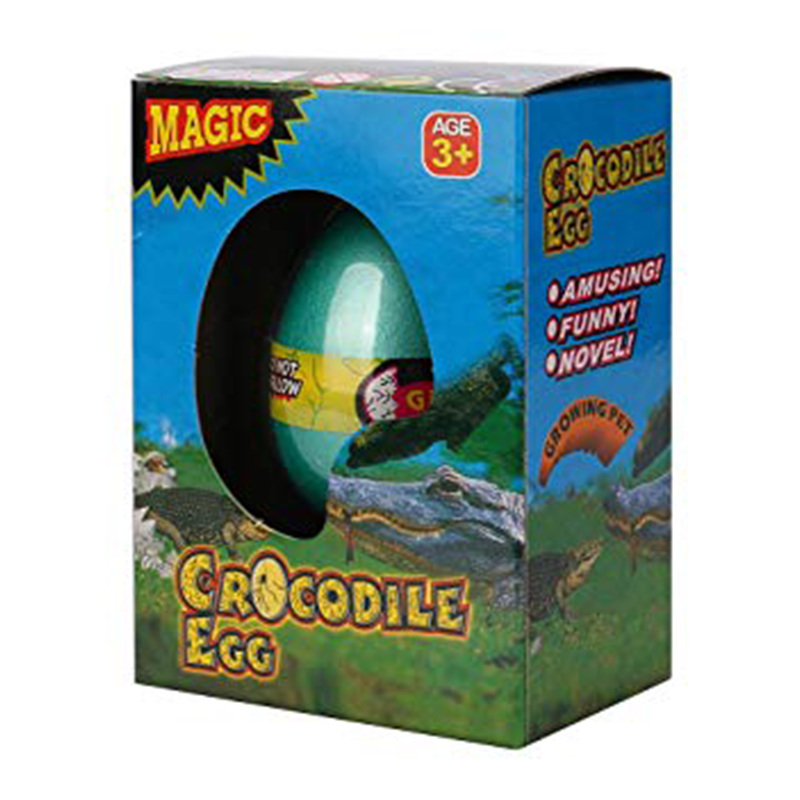 Growing Pet Crocodile Egg Catchme.lk